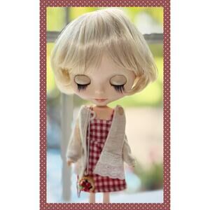 OOAK Custom Neo Blythe Fashion Doll Takara Vintage Outfit Wig USA Seller